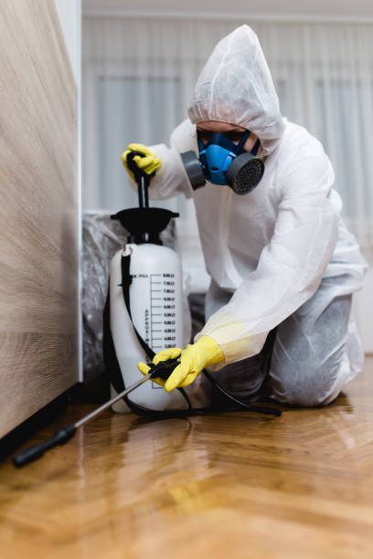 Emergency Pest Control Services in Ponce Inlet, FL